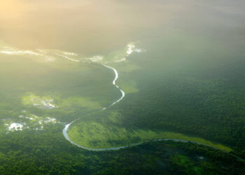 Amazon Triumph: Brazil’s Deforestation Drops to a Decade Low